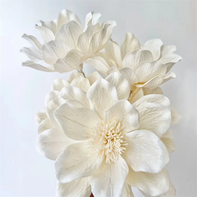 Bambus Decorative  Wedding Novel Design Artificial Bulk Reed Diffuser Sticks Natural Mixed Dried Sola Wood Flower With Wick