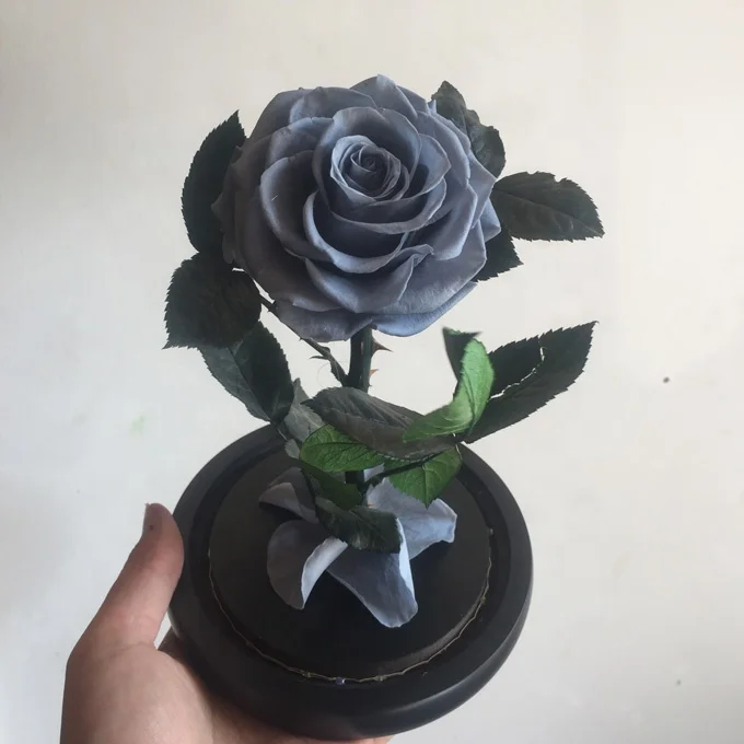 
natural preserved real rose in glass dome as gifts for valentine day 