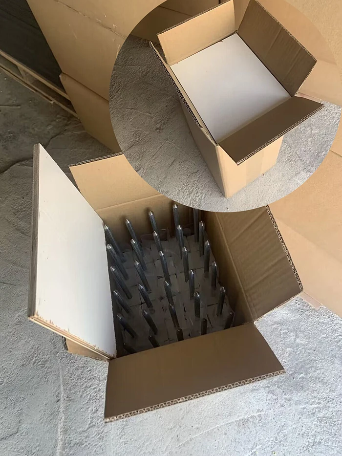 PACKING - .jpg