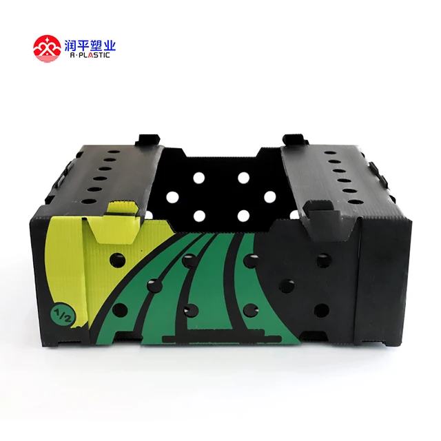 wholesale 4kg 5kg 7kg load weight okra box corrugated plastic storage containers warehouse fruit and vegetable boxes