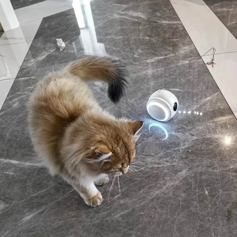 Intelligent AI Robot Interactive Rolling Ball FHD Camera Pet Toy for Cats Smart & Movement Interactive Pet  Companion Robot