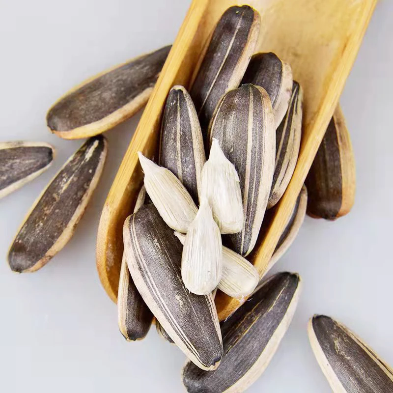 White sunflower kernel candy grade mixed nuts wholesale china cheap high protein good product cheap