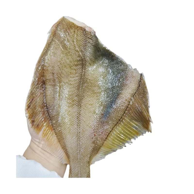 Замороженная рыба, желтая подошва, филе, упаковка оптом