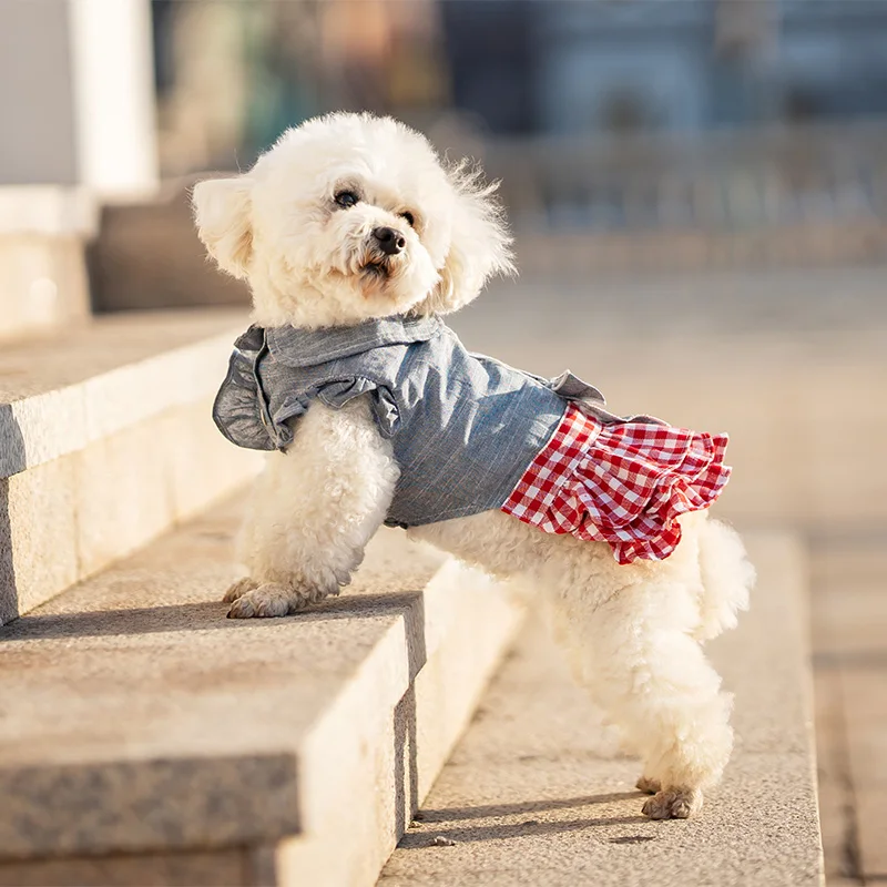 Chihuahuas Puppy Breed Supplier Fashion Pet Jeans Crochet Clothes Small Dog Dresses