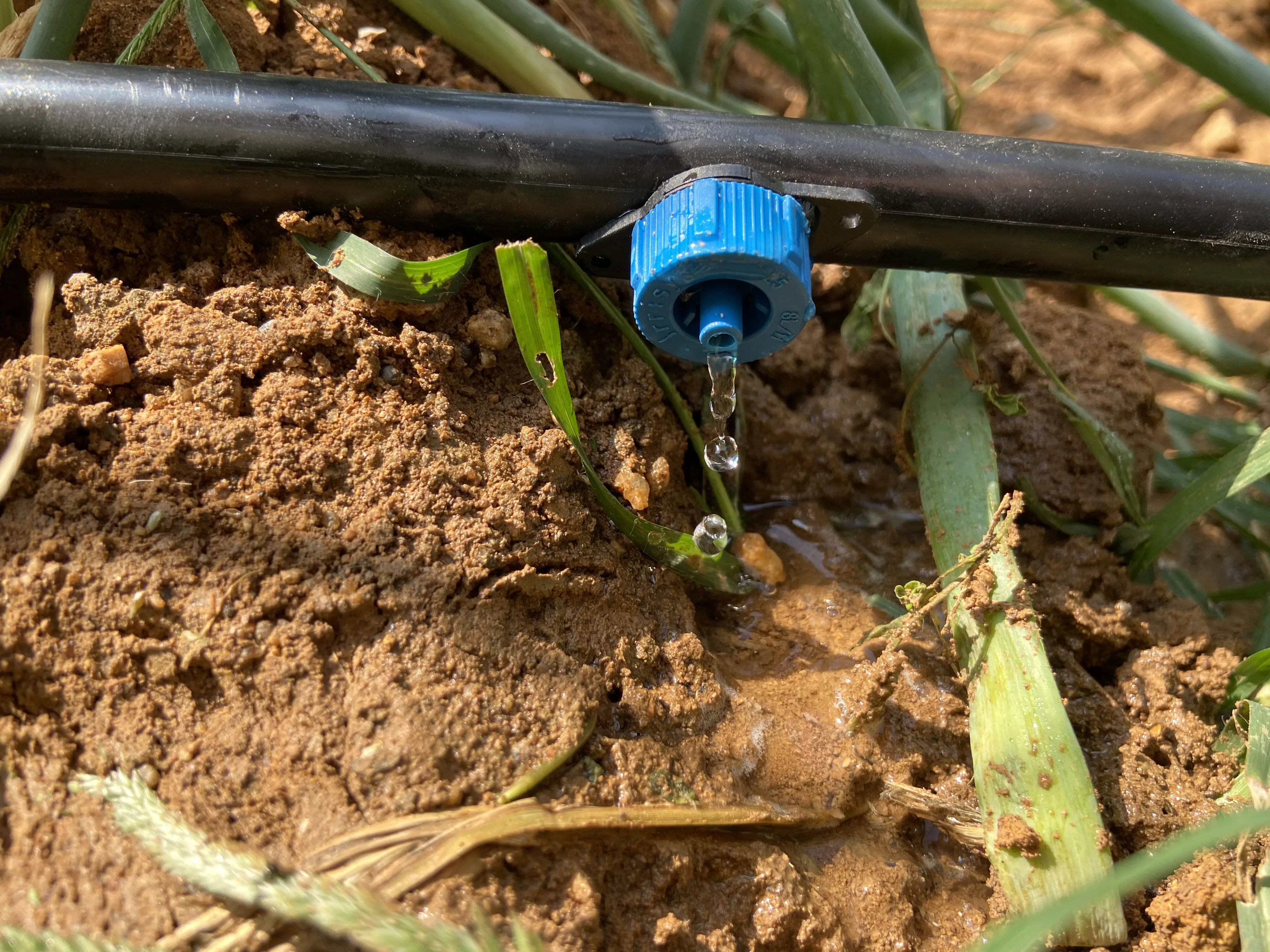 4L/8L Family Garden drip irrigation water dripper Pressure compensation dripper