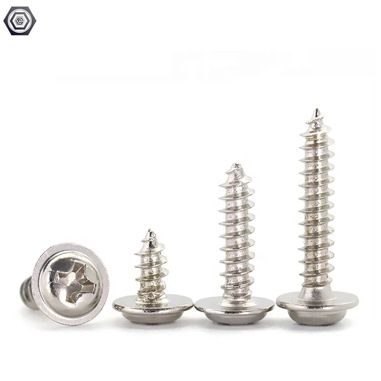 Stainless Steel Cross Round Head Pan Head Self Tapping Screws and Phillips Drive Self Tapping Cap Screws