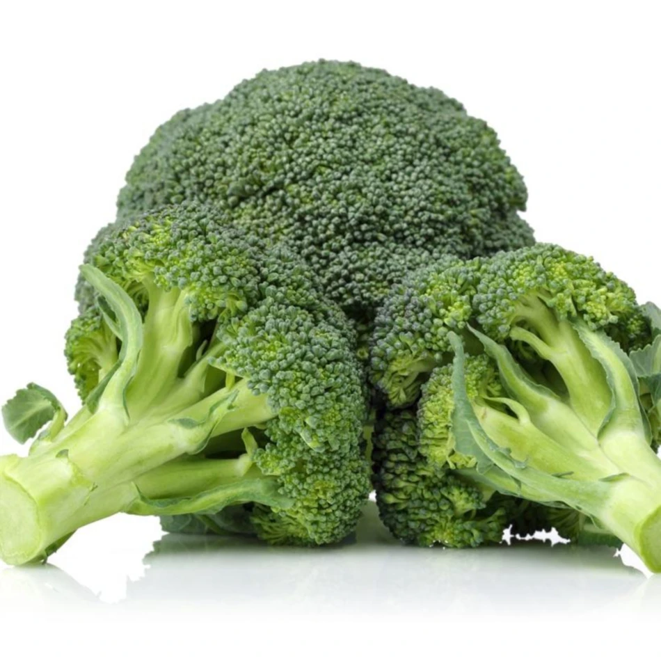 High Quality Wholesale Fresh Vegetables Organic Green Broccoli