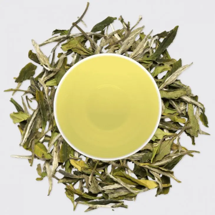 Orginal Farm Touch Organic White Tea Luxury Royalwhite Tea Flavors Pai Mu Tan White Tea