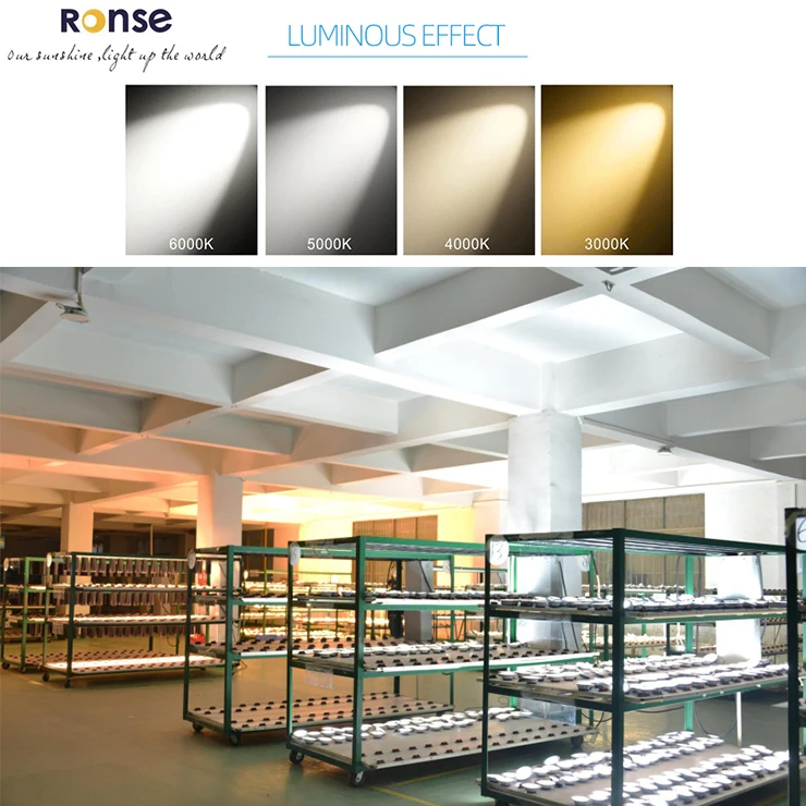 RONSE LED Track Lamp 20w Cheap Price 30w Black Light  Cob Dimmable 3 Phase 3 Wires 10w Track Lights 4000K