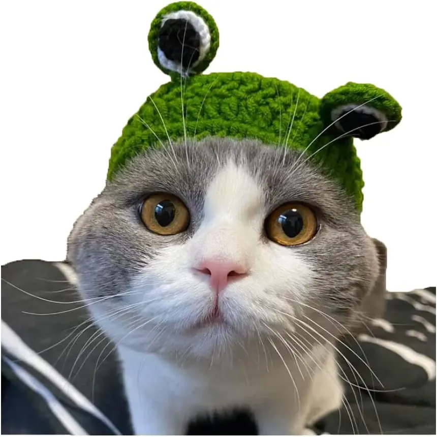 Wholesale  Hand Knitted Hat  Cartoon Frog Modeling Pet Costume Pet Hat Decor