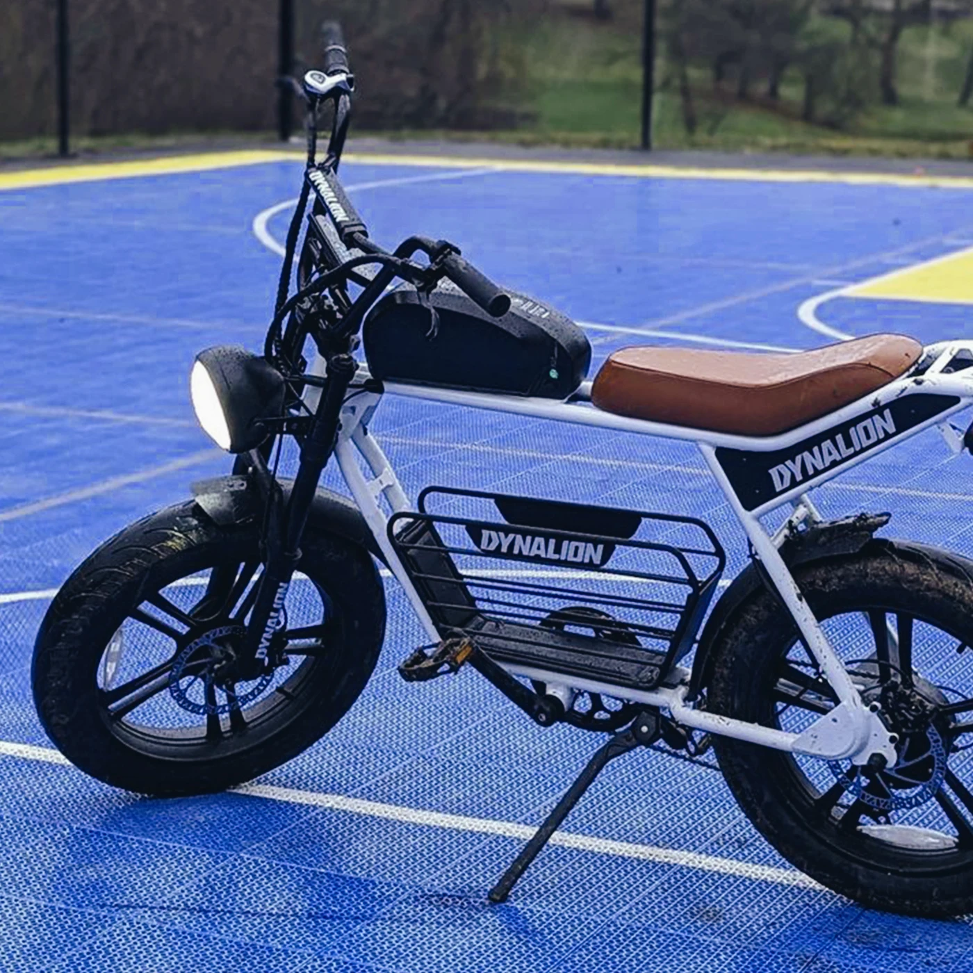 DYNALION High performance fat tyre e-bikes 48V 1000W motor 48V 16Ah Li Battery steel frame disc brake LCD display