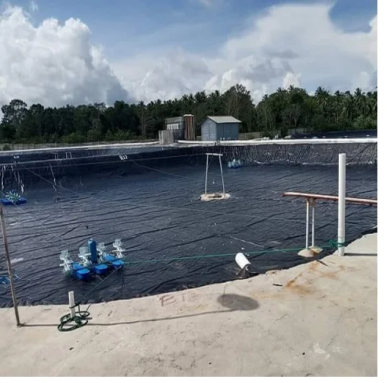 Eco-friendly 100% Vigrin HDPE  Waterproof UV resistance Smooth Rough Textured Geomembrane For Fish Pond Landfill Dam