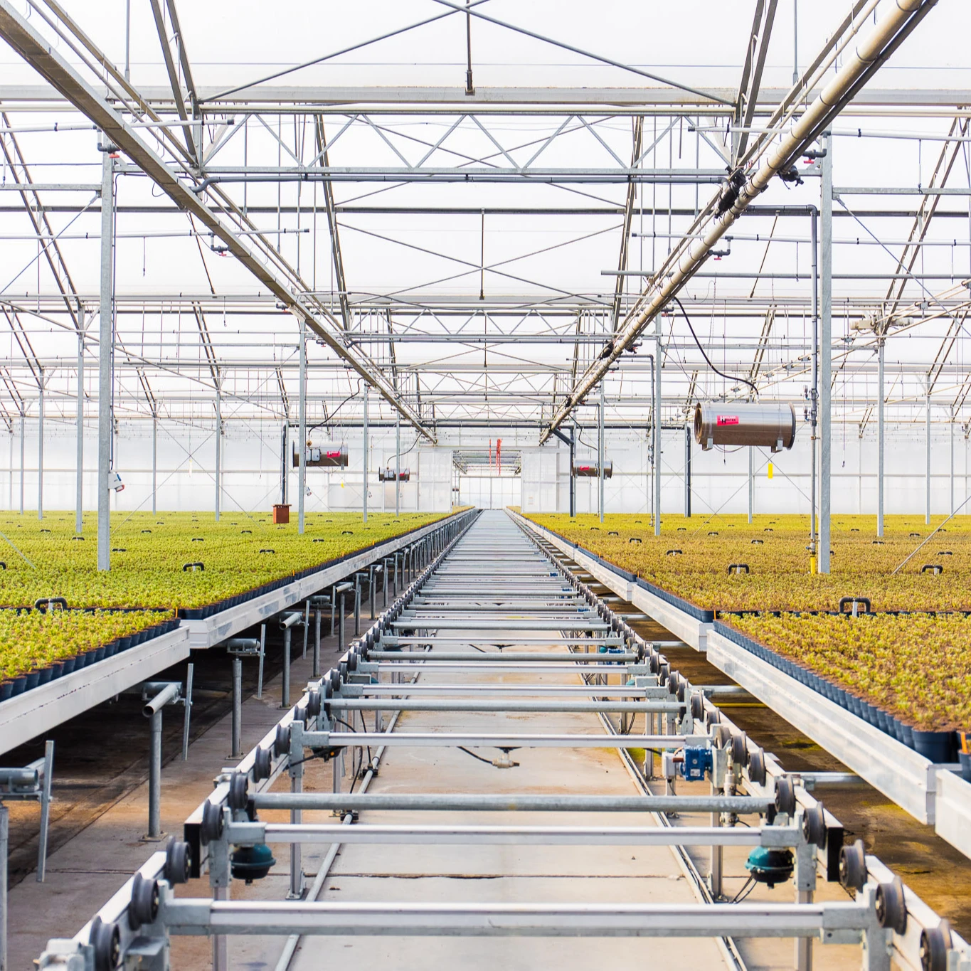 Modern logistics seedbed portable greenhouse rolling bench