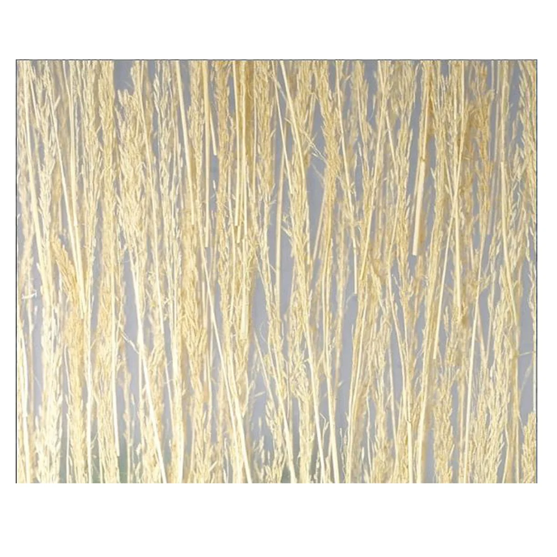 unique design translucent acrylic resin sandwich panel