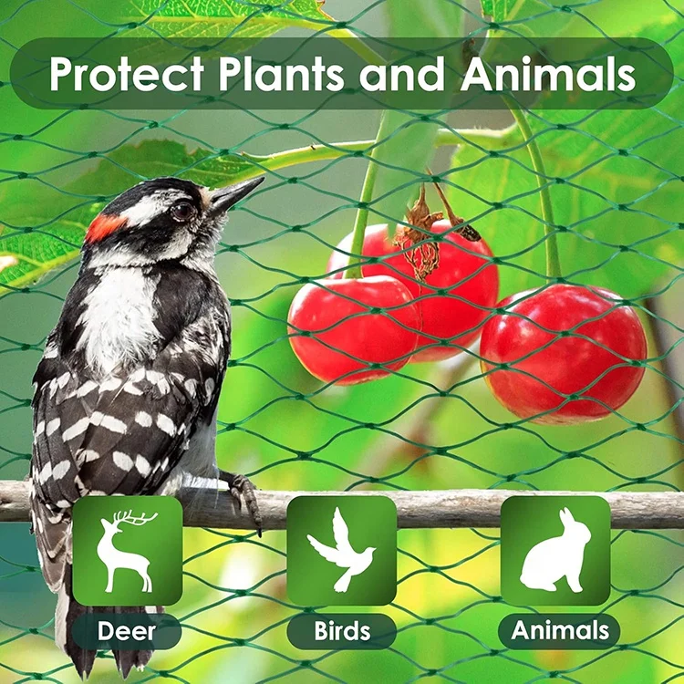 Plastic Trellis Bird Netting for Garden Protect Vegetable Plants Fruit Trees Bird Net Mesh Fence Deer Squirrels  Animals