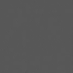 Plastic Outdoor Compressible  Hunting Foam Goose Decoys