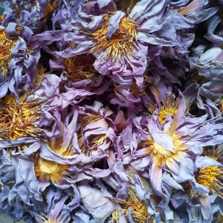 Wholesale Premium Quality Lan Lian Hua Bunga Teratai Biru Kering Dried Blue Lotus Tea Beauty and Health Tea Blue Lotus Flower