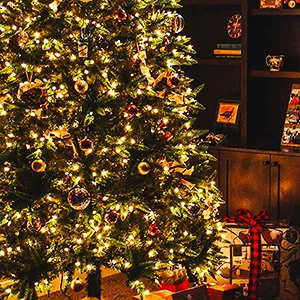 Economy 50 LED Solar Christmas Lights  8 Modes Outdoor Solar String Lights IP65 Waterproof Christmas Light