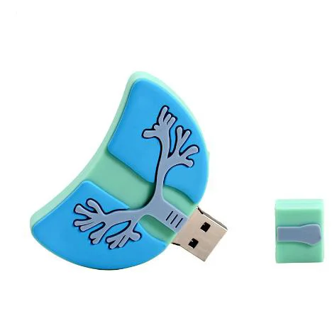 Cartoon Viscera Heart Lung Liver  Usb Flash Drive 2.0 3.0  64gb 32gb 16gb 8gb 4gb Cardiac Usb Stick  Human Organ Pen Drive