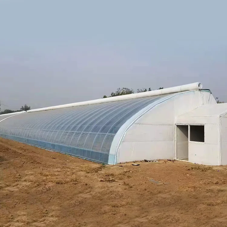 Insulated Greenhouse Agriculture Commercial Winter Passive Solar Greenhouse