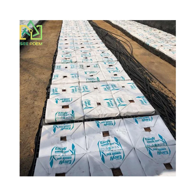 White / Black Hydroponic Plastic PE Poly Grow Pot Bag with bottom hole