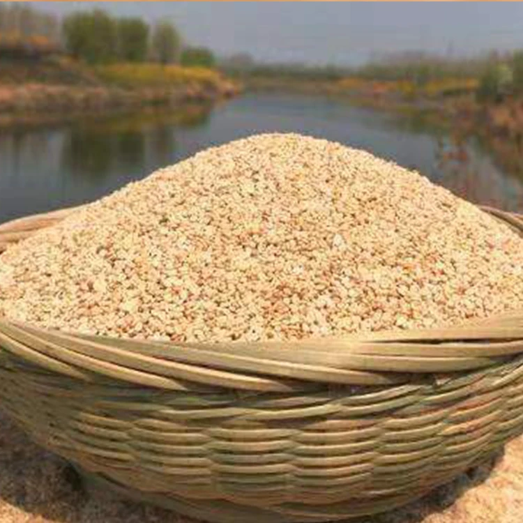 100% Natural White Sesame Seeds Hot Sale Unhulled Oil Sesame in Bulk