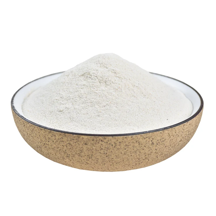 DongAo China Factory Directly Sell Roasted Garlic Powder for Food