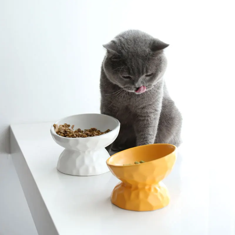 Raised Ceramic Dog Bowl Elevated Food High Food Water Pet Feeder for Puppy Medium Slanted Angle Cat Bowls Cross Border Supplier