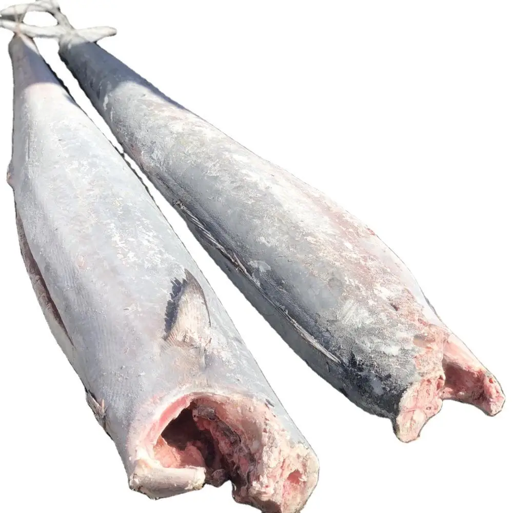 
Factory supply IQF frozen Wahoo fish with fresh seafood 