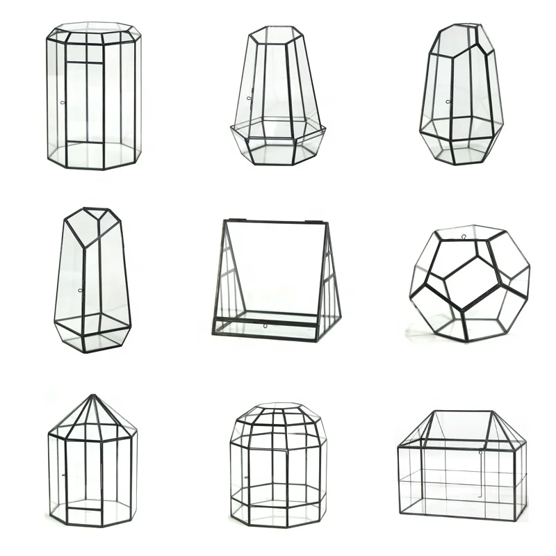 dakang Dome Hanging Plant Geometric Reptiles Do Terrarium Glass For Plants Kit Containers Miniature Wholesale With Lid