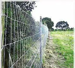 Wholesale Bulk Cheap Livestock Cattle Fence Goat Farming For Hot Sale