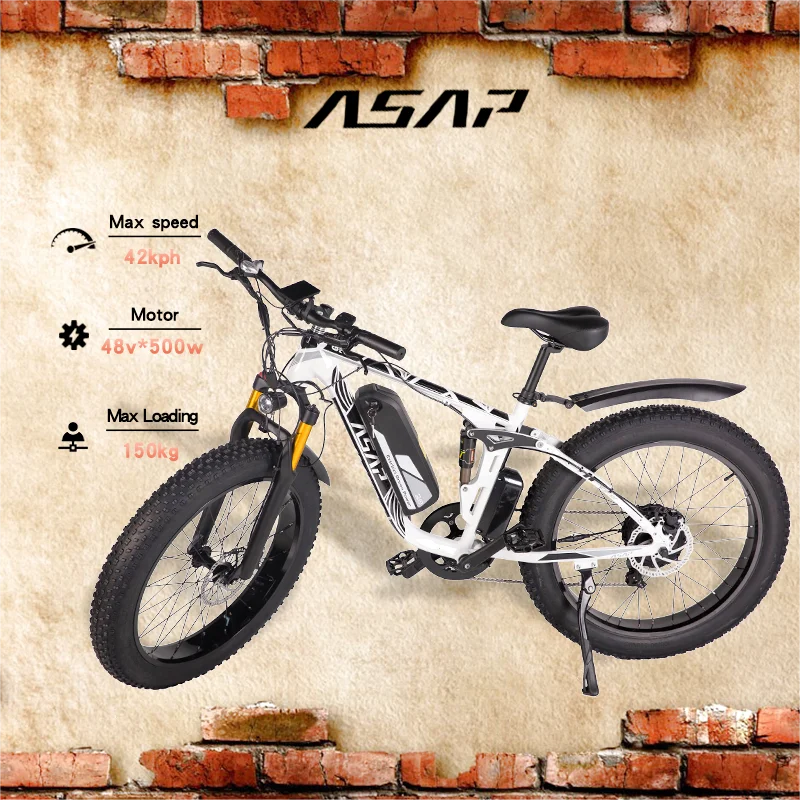 US Stock Daily Commuting Fat Tyre Bicycle Equipped 48V Long Life Battery Supply Fast Charging Electric Bike