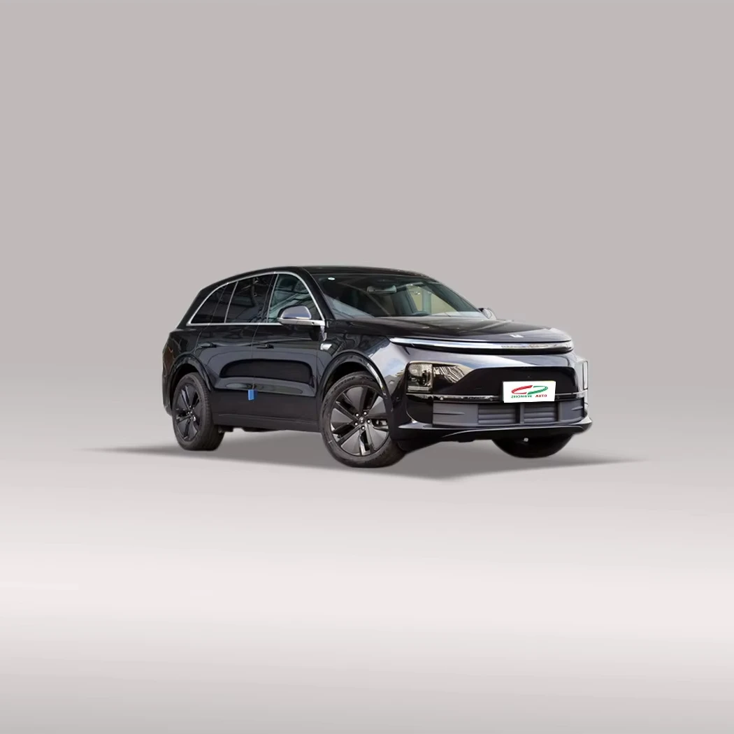 Электрический и Подержанный автомобиль ведущая идеальная модель 2024 L6 Pro дешевый для взрослых
