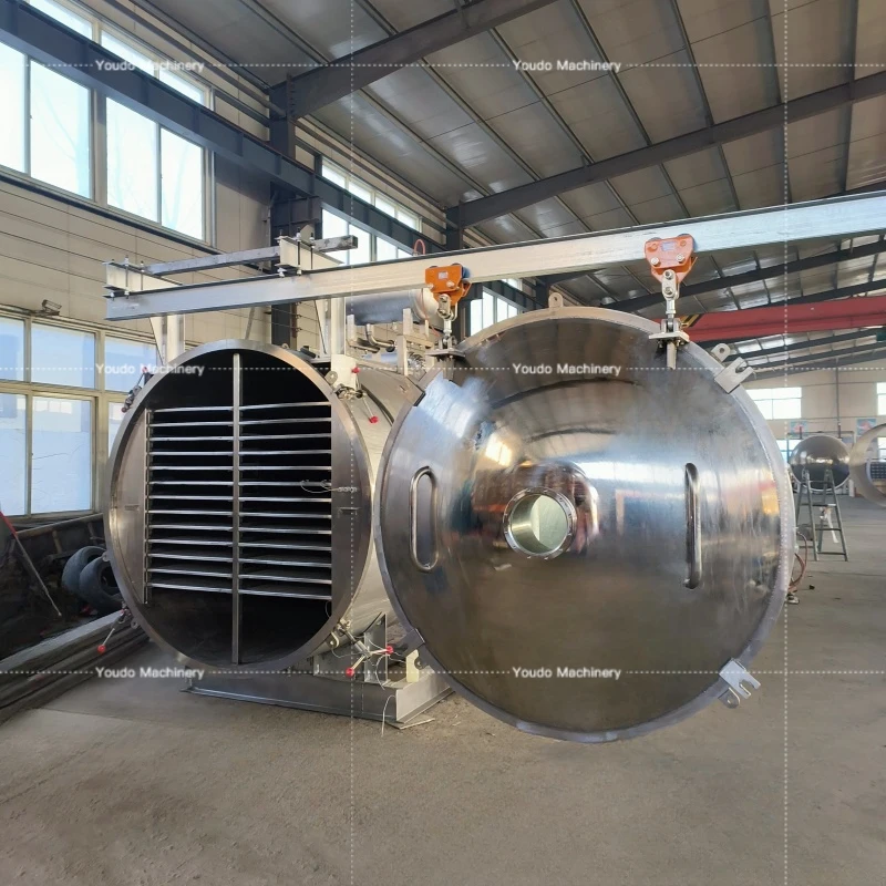 Industrial Fruit Vegetable Freeze Dry Machine Automatic Vacuum Freeze Dried Meat Candy Cat Treats lyophilizef