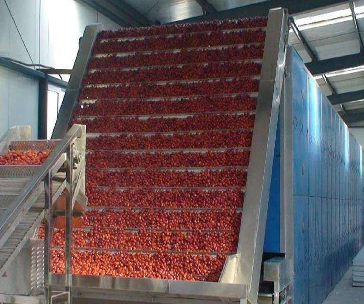Multi Layers Fruit and Vegetable Mesh Belt  Drying House Mango Drying Oven Continuous Date Mesh Belt Dryer