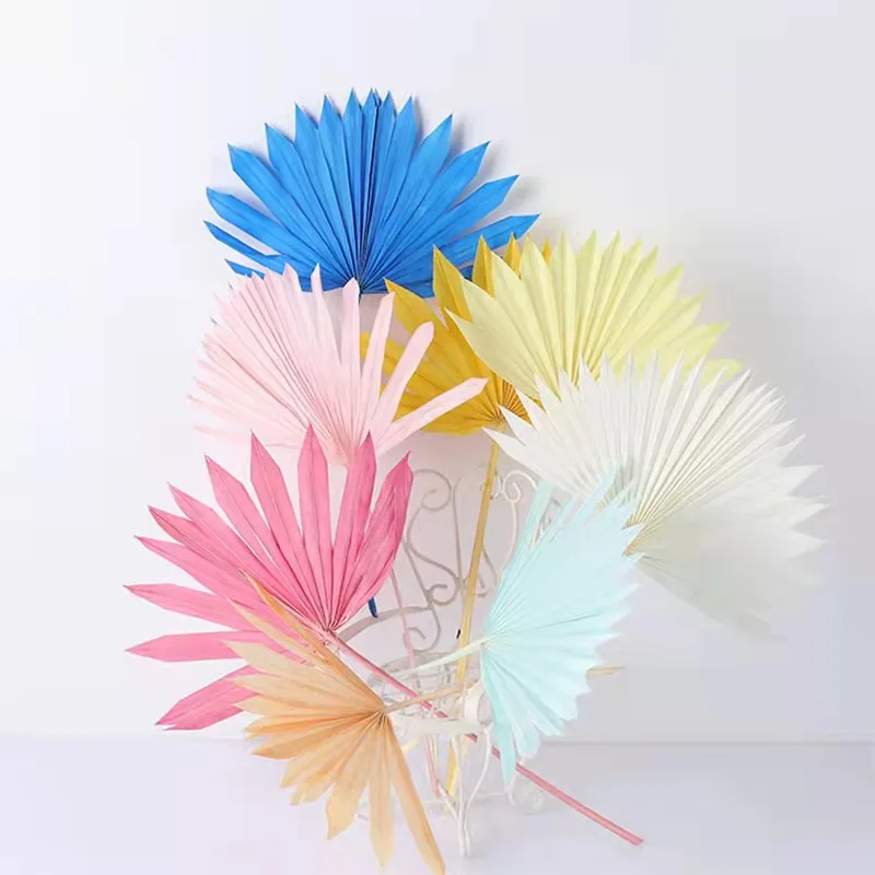 Wholesale high quality dried leaf flower wedding home decoration flower beauty good price dried palm leaves