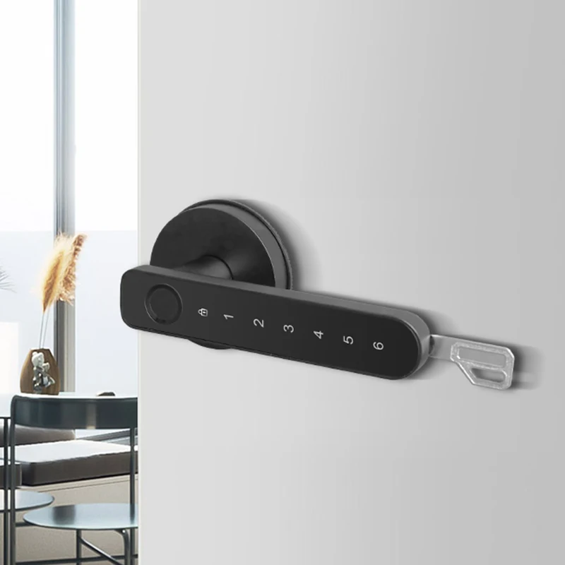 Biometric Smart Fingerprint Keyless Entry Door Lock with Handle
