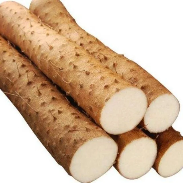 high quality Chinese fresh yam for wholesale
