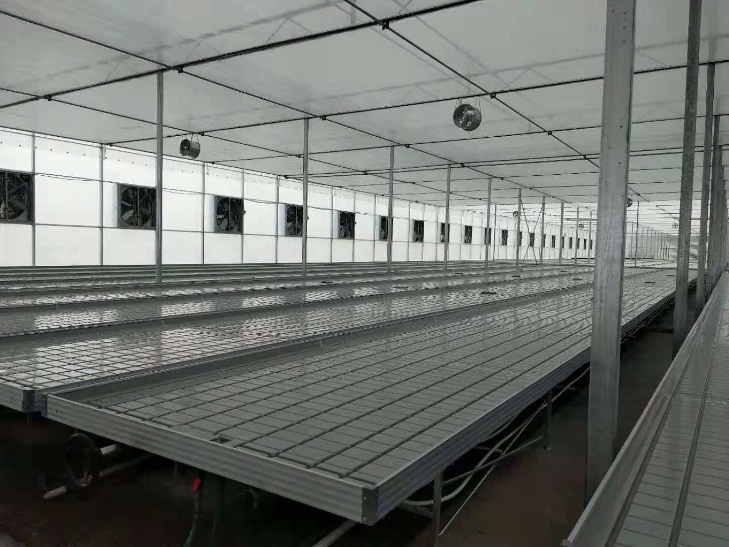 
greenhouse table planting automatic transportable table seed rolling tables for garden 
