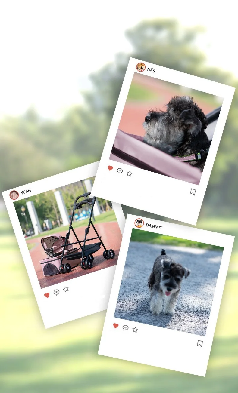 Newly Arrived Easy to Fold Portable Hand Trolley for Small Dogs and Cats Travel Lightweight and Foldable Outdoor Pet Cart