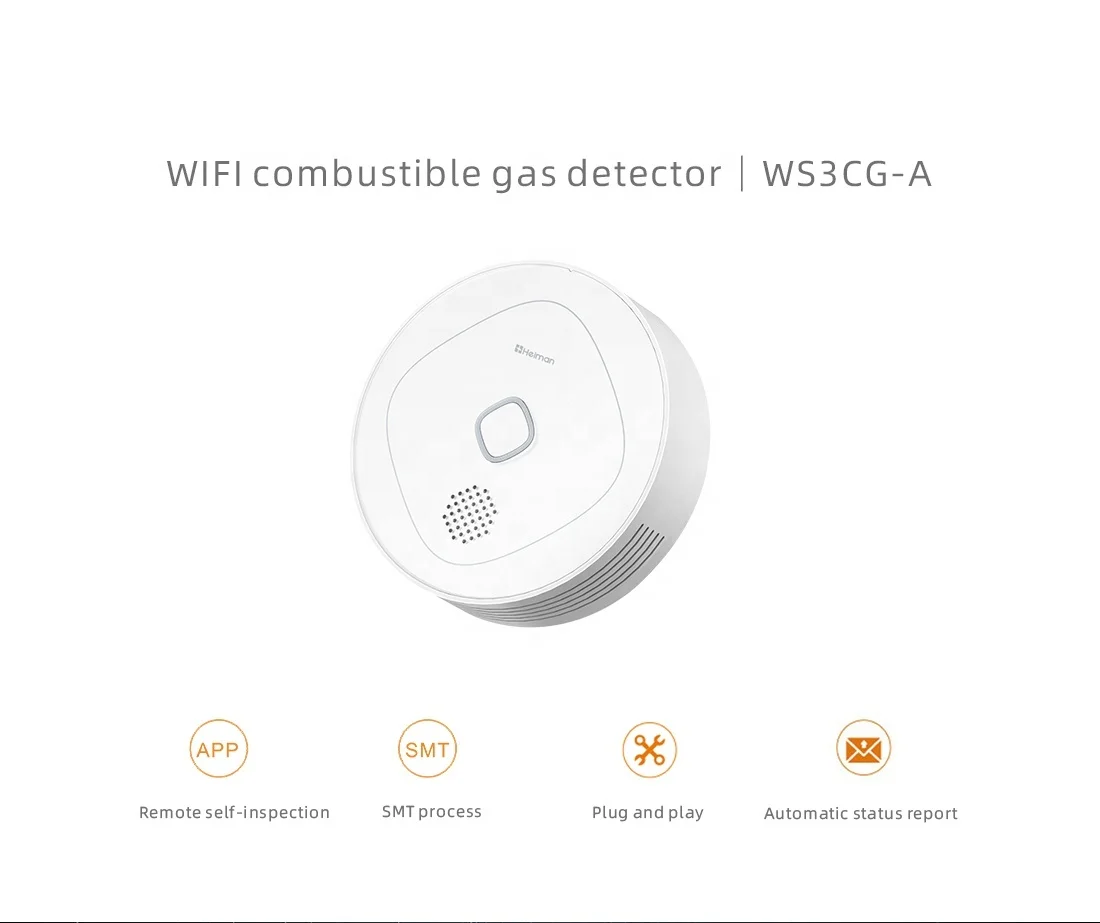 Factory Price Wifi Combustible Gas Detector Methane Portable Gas Alarm Home Security Gas Detector for home safety