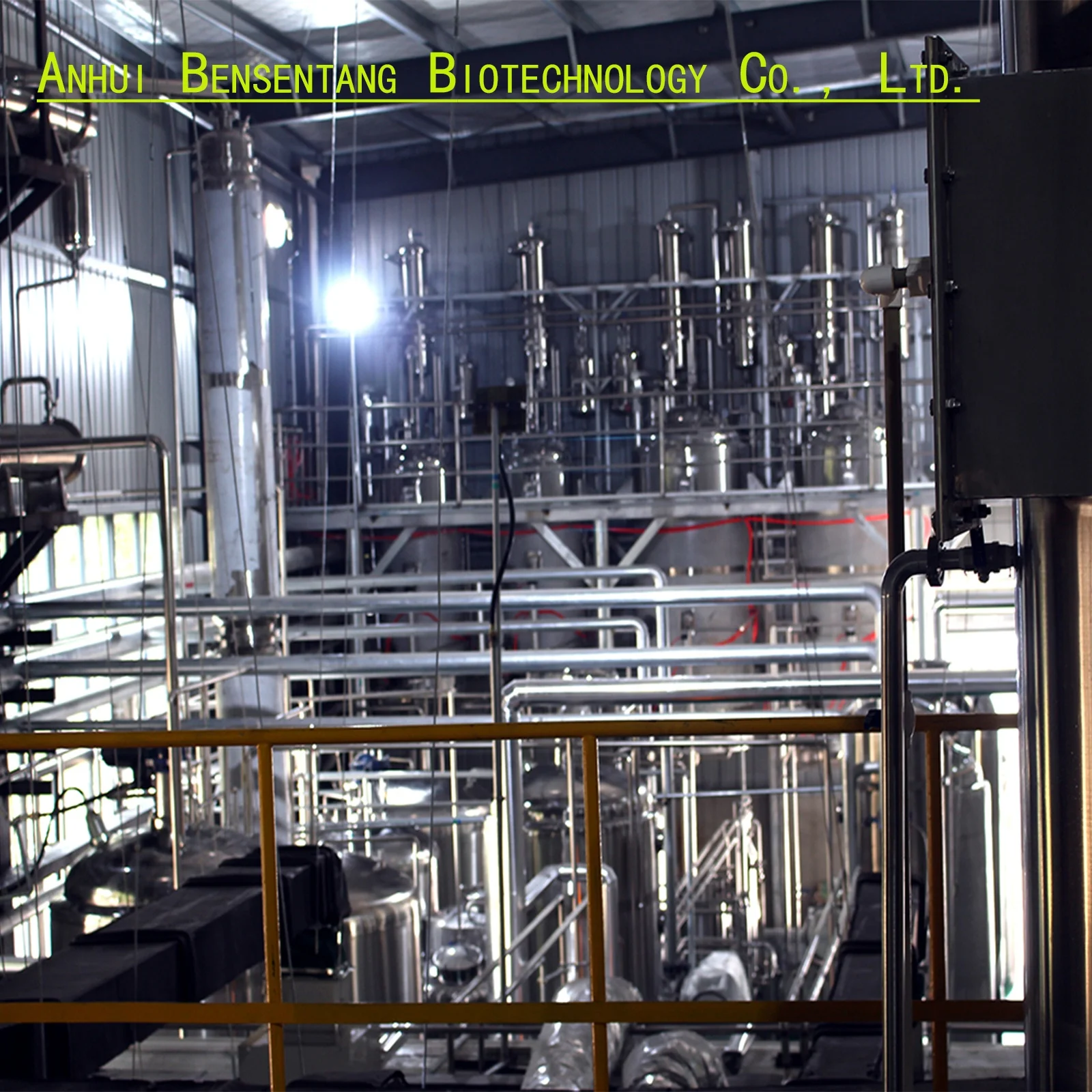 Factory Wholesale Valerenic Acid 0.8% Bulk Valeriana Officinalis  Valerian Root Extract