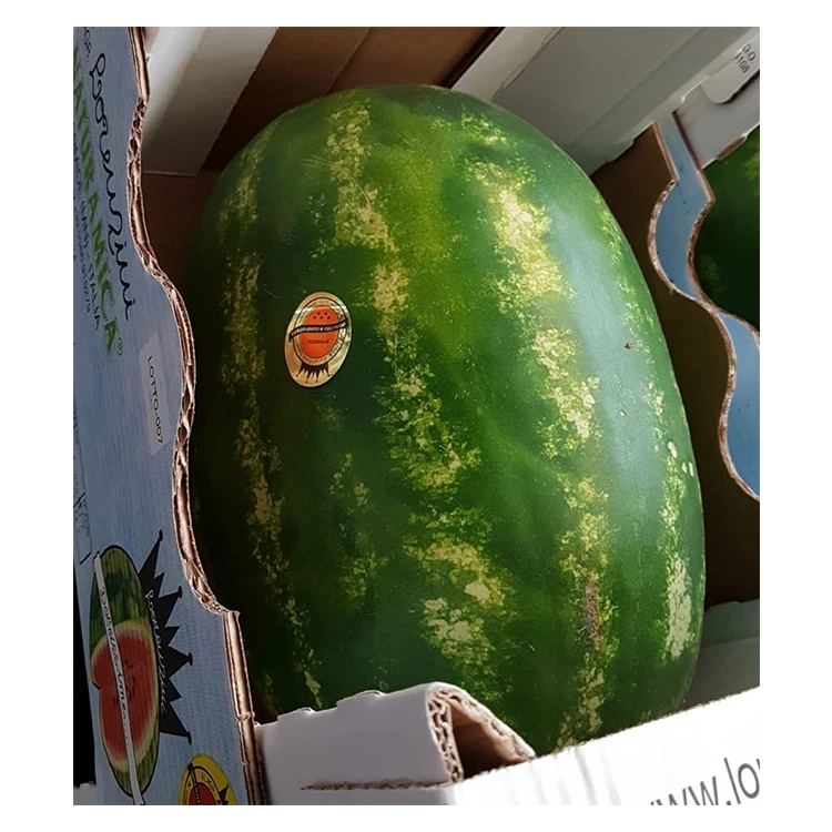 Итальянские Фрукты Арбуз Свежий сладкий арбуз для продажи