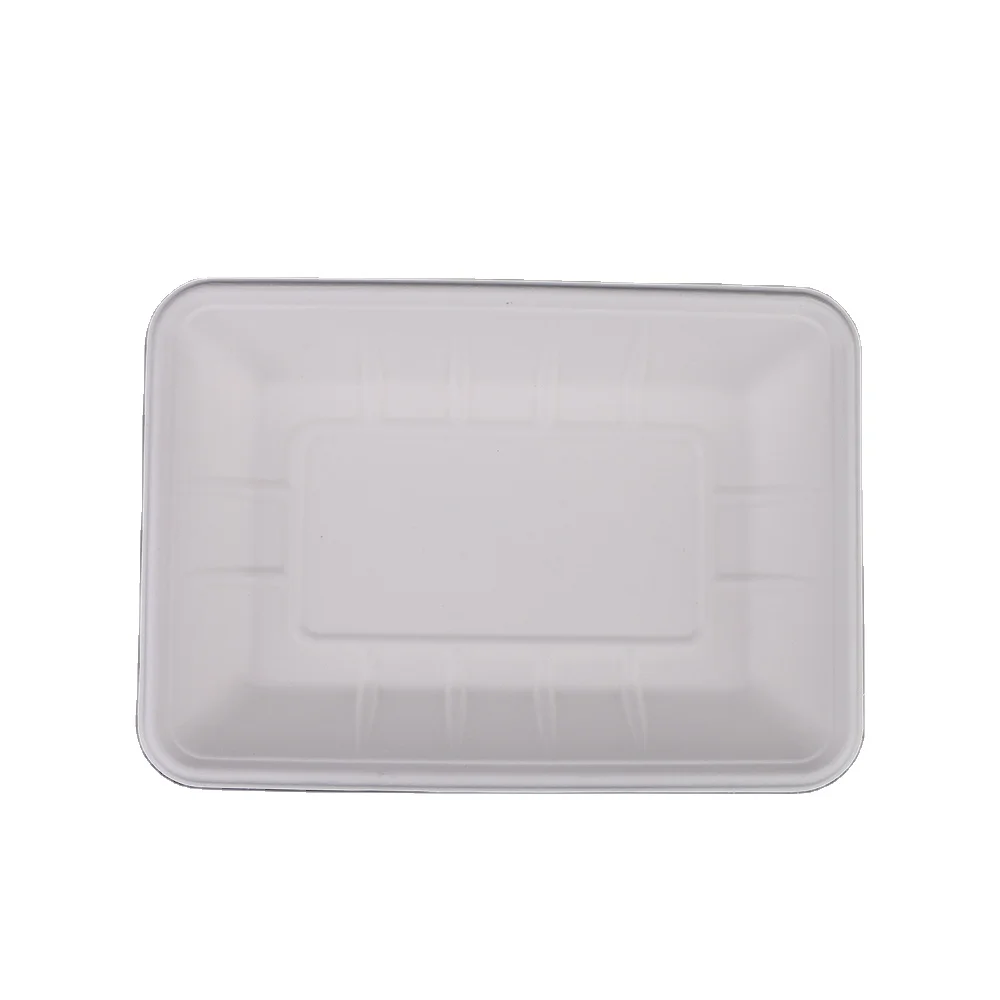 Compostable Rectangular Bagasse Sugarcane Pulp Tray