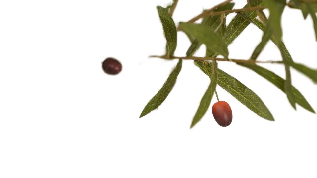 Artificial Olive Tree Silk Plant Artificial Tree in Potted Oliver Branch Leaves For Home Decor