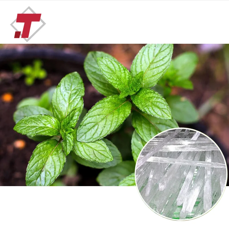 Mint Menthol Crystal Peppermint Menthol Ice Crystal