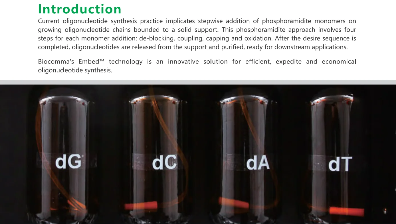 Oligo synthesis 3.png