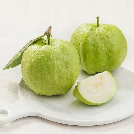 
High Quality Fresh Guava Fruit From Vietnam 
