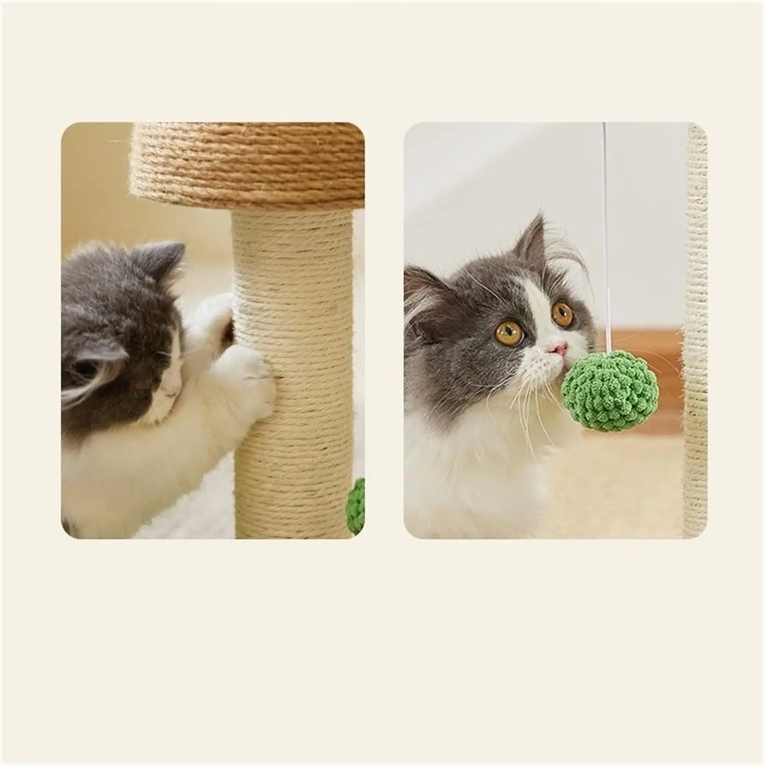 Кошка дерево кошка башня гриб