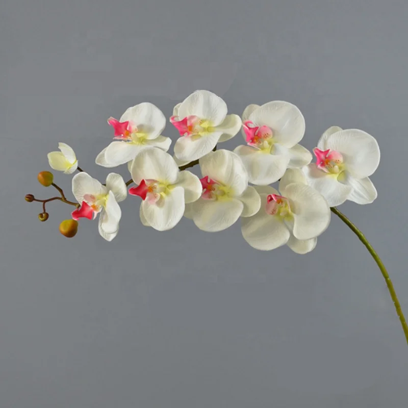 Fine workmanship Natural color multiple color phalaenopsis orchid real touch